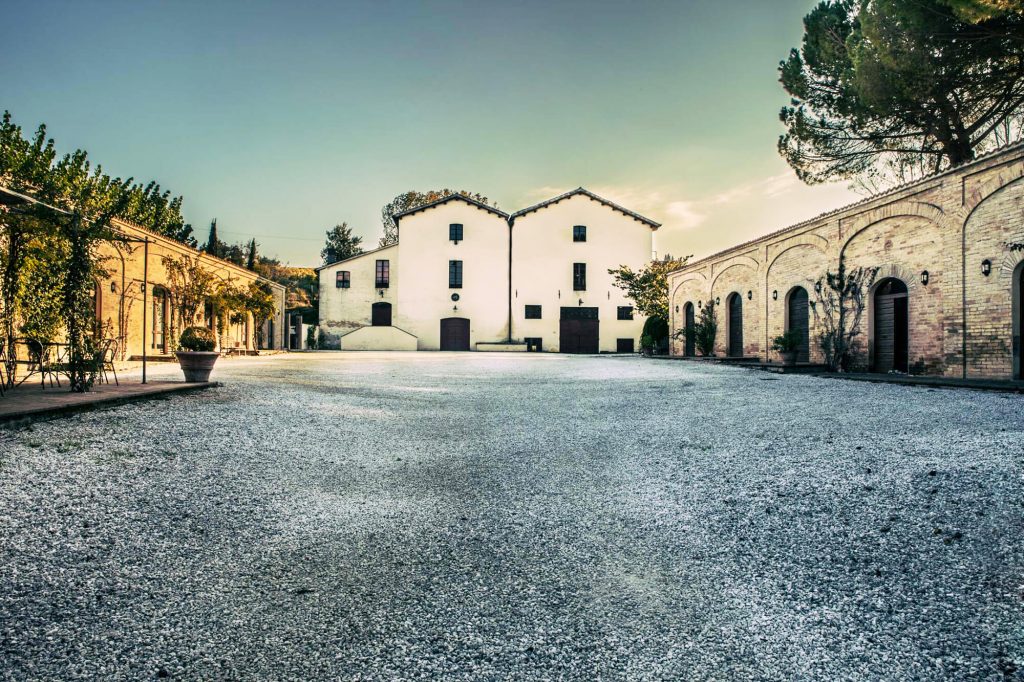 Private: Tasting of Sagrantino wine from Montefalco