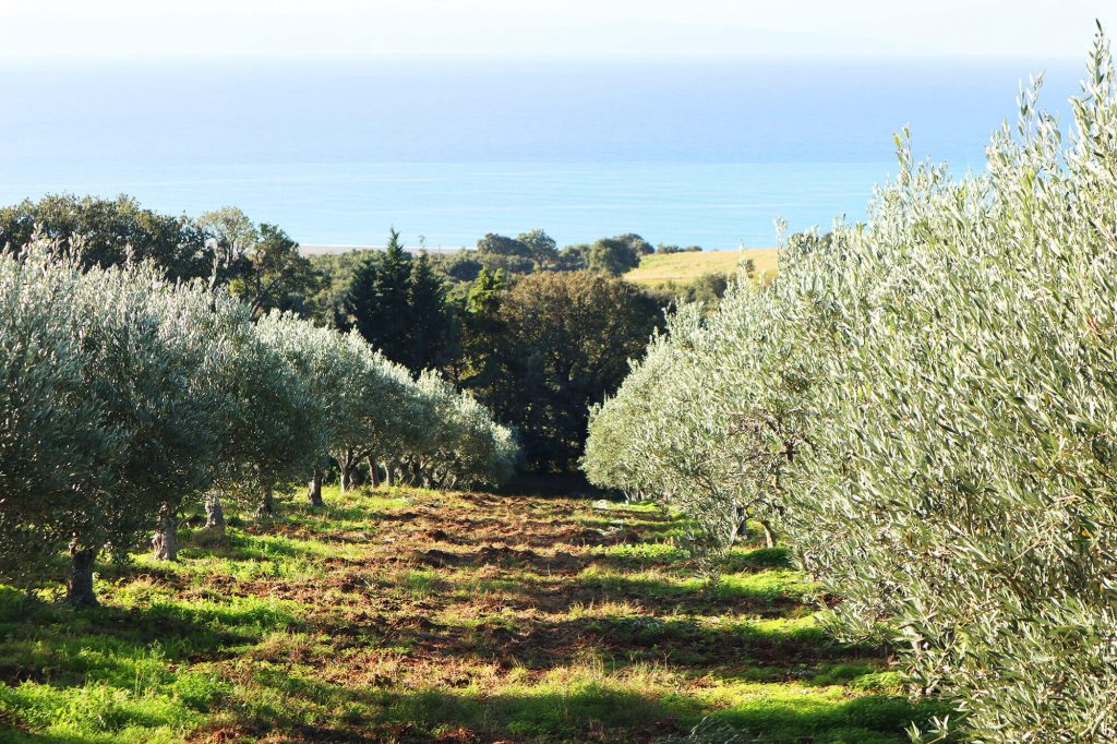 Weekend in Calabria: Lamezia Terme Territory