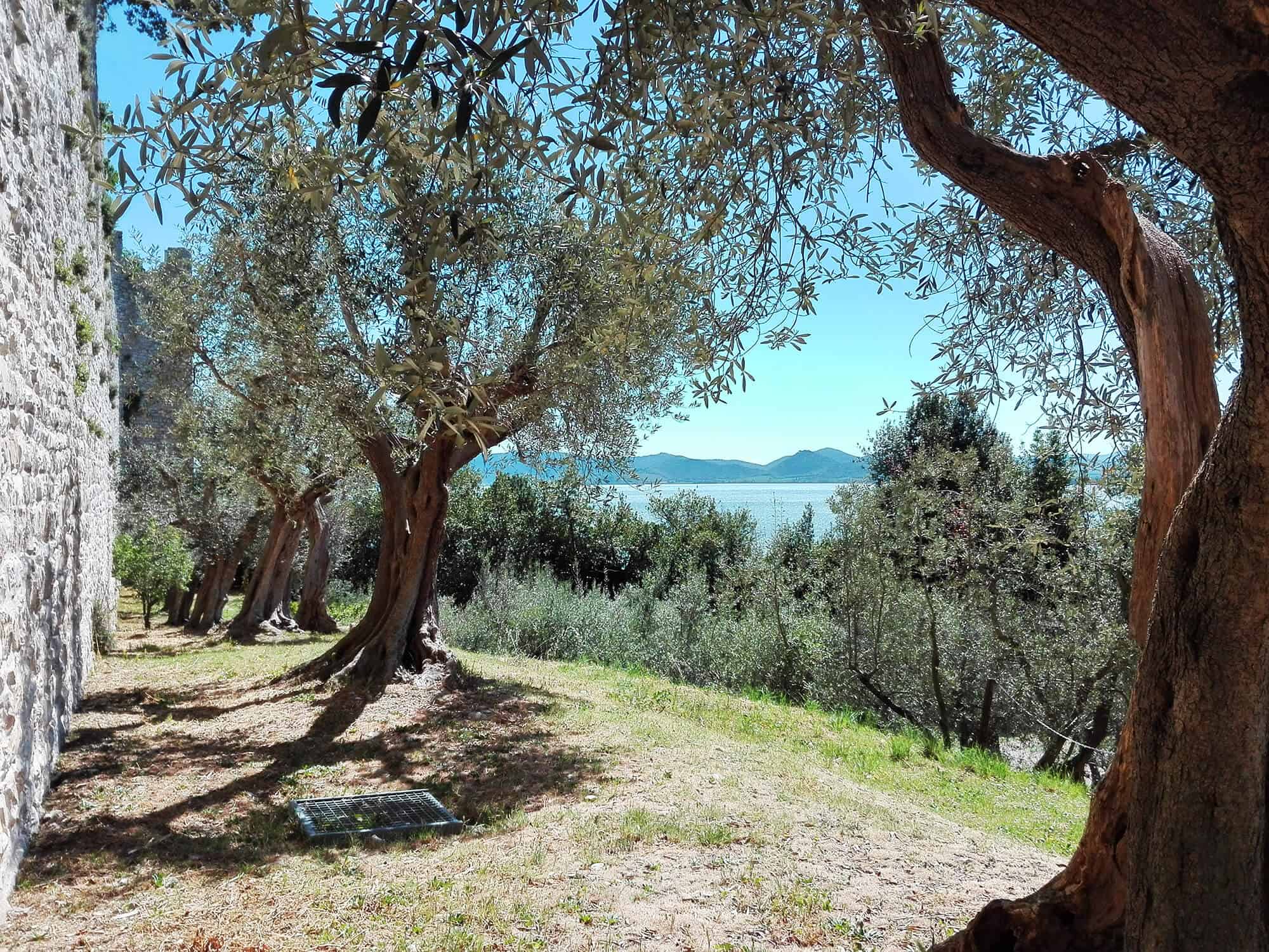 Castiglione del Lago