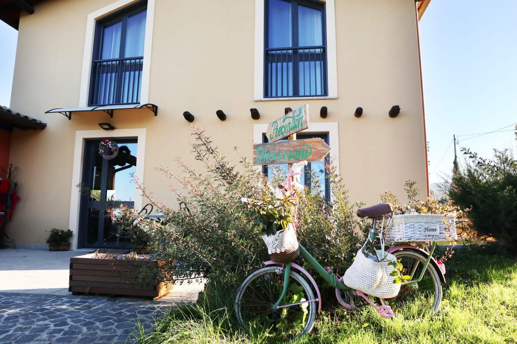 Private: Frascati, Castel Gandolfo and Nemi in the enchantment of flavors and taste of the Castelli Romani