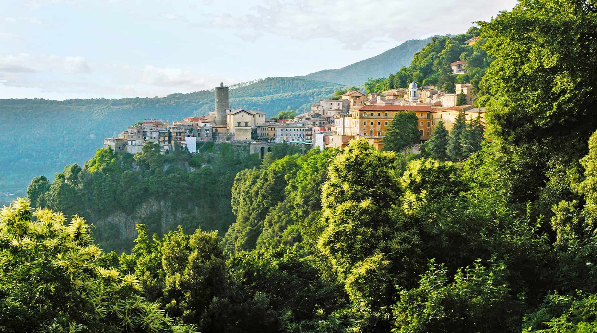 Panorama nemi