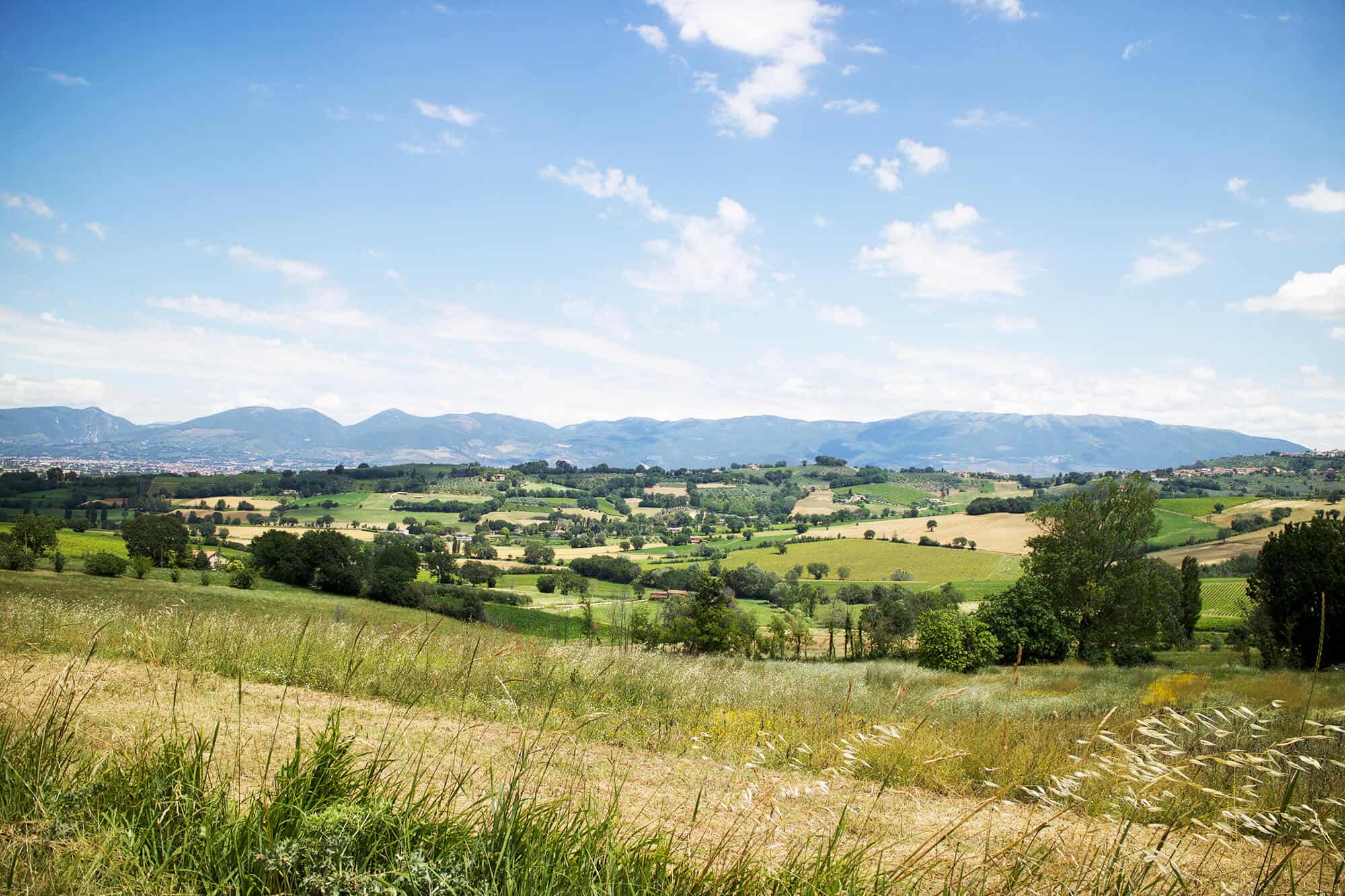 panorama Bevagna