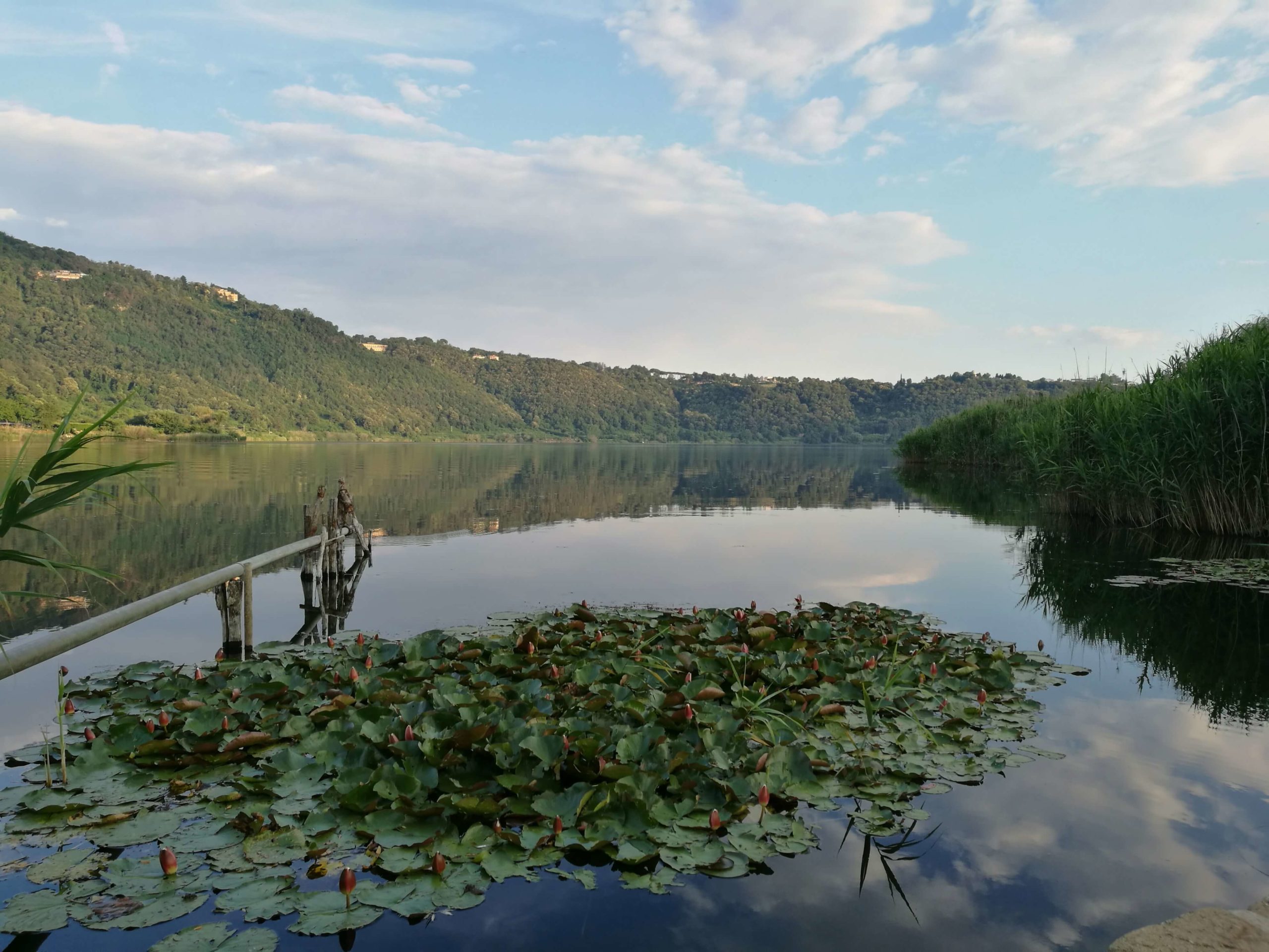 Nemi lago da Horst