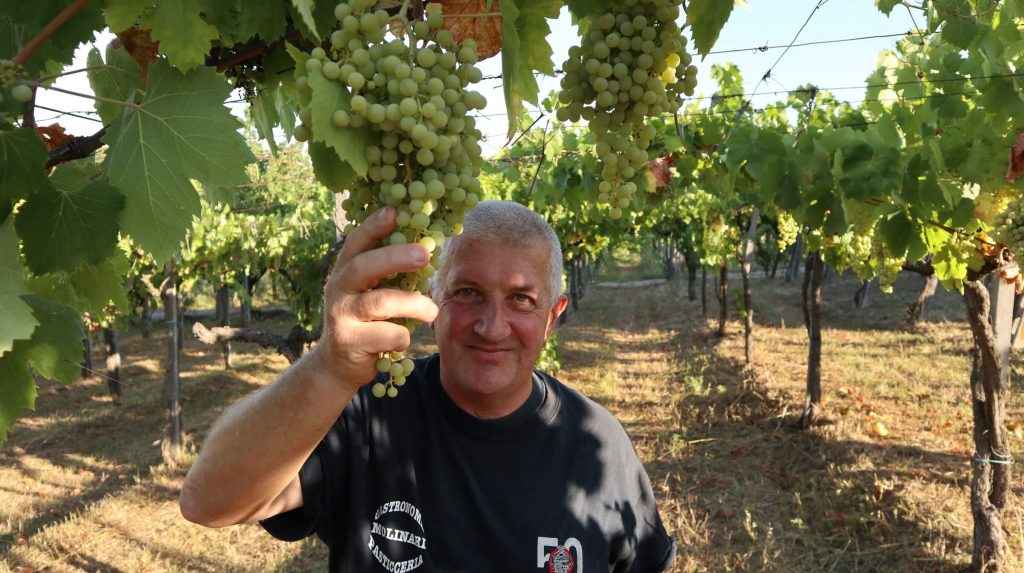 Castelli Romani: Grape Harvest Holiday