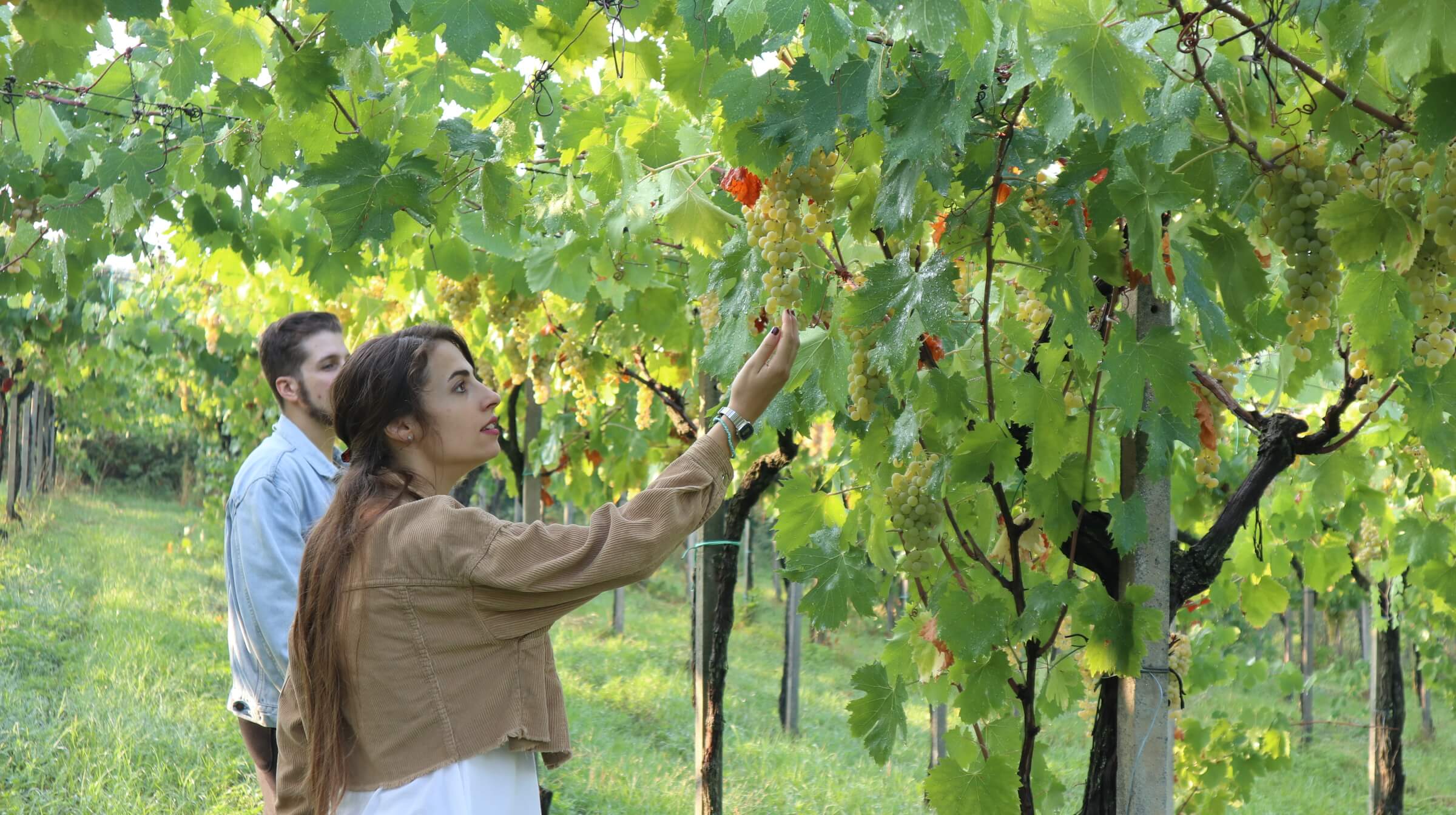 Colazione vignaiolo frascati 6