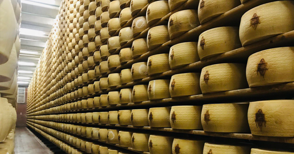 A room full of Parmigiano Reggiano cheese wheels