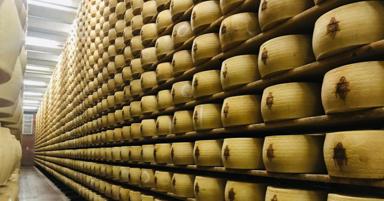 ParmigianoReggiano