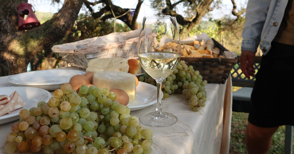 Details of an outdoor breakfast table with grapes, cheese, eggs, bread and a glass of wine in Frascati, Castelli Romani (Rome)