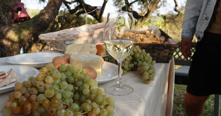 Outdoor Breakfast in Frascati, Castelli Romani (Rome)