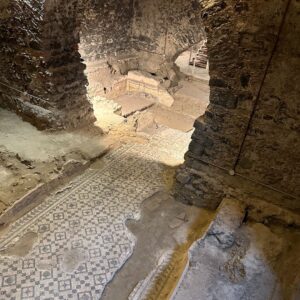 Roman house, visible from the suspension bridge designed by De Carlo in the library.