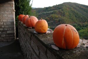 Orange pumpkins on a balcony in the countryside (Photo Credits @Renato Agostini from Wikimedia Commons)