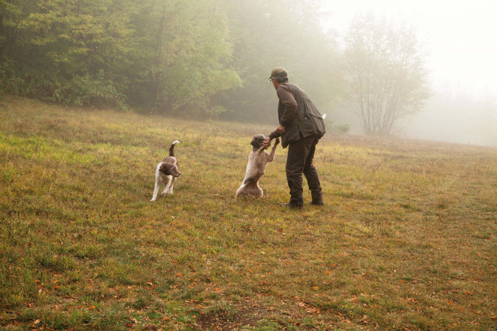 Truffle Hunt & Wine Tasting in Umbria from Rome