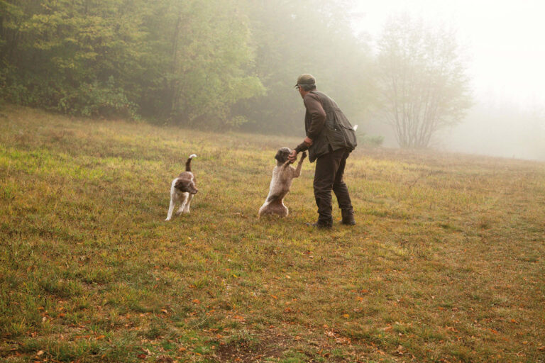 cavatori truffle hunt 1