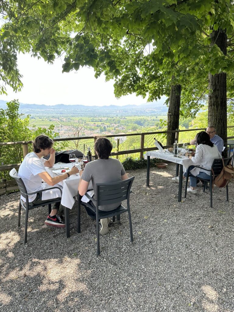 Visit the Prosecco Hills and a Natural Herb Farm for a Special Afternoon Tea